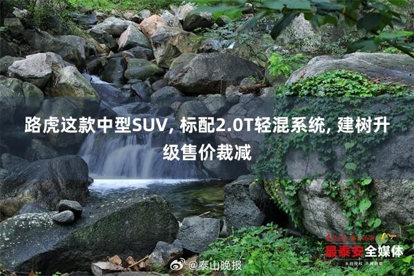 路虎这款中型SUV, 标配2.0T轻混系统, 建树升级售价裁减