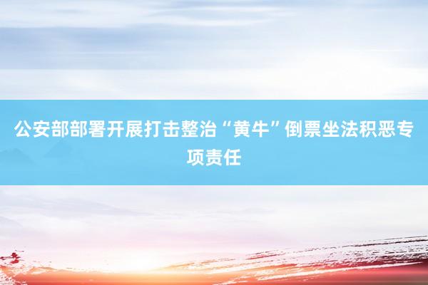 公安部部署开展打击整治“黄牛”倒票坐法积恶专项责任