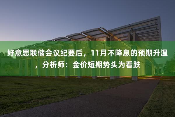 好意思联储会议纪要后，11月不降息的预期升温，分析师：金价短期势头为看跌