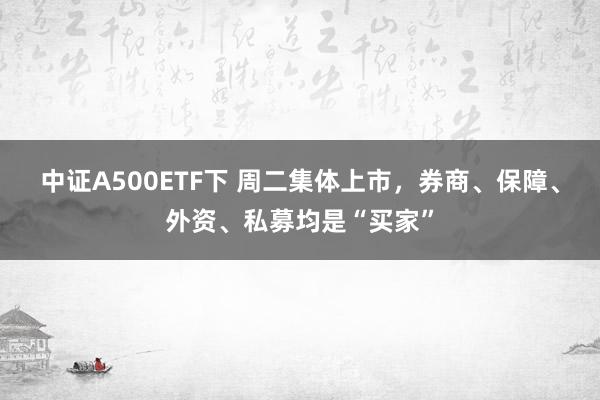 中证A500ETF下 周二集体上市，券商、保障、外资、私募均是“买家”