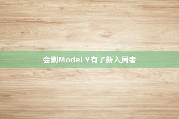 会剿Model Y有了新入局者