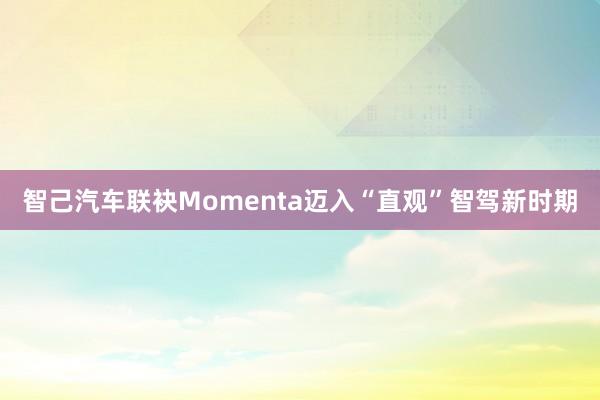 智己汽车联袂Momenta迈入“直观”智驾新时期