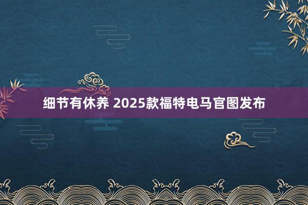 细节有休养 2025款福特电马官图发布