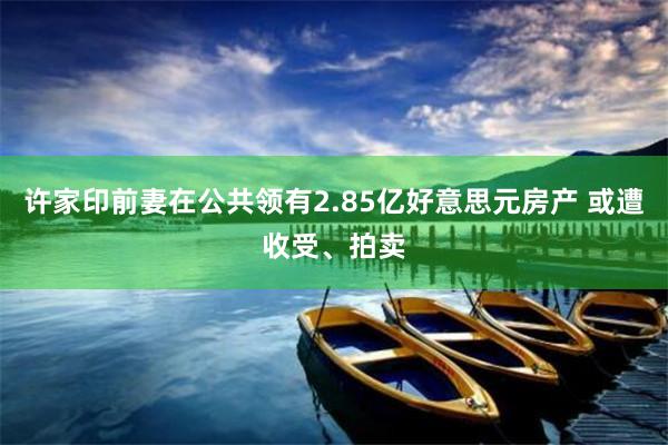 许家印前妻在公共领有2.85亿好意思元房产 或遭收受、拍卖