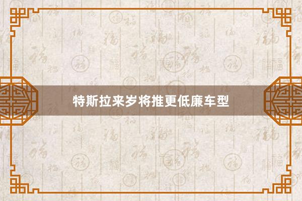 特斯拉来岁将推更低廉车型