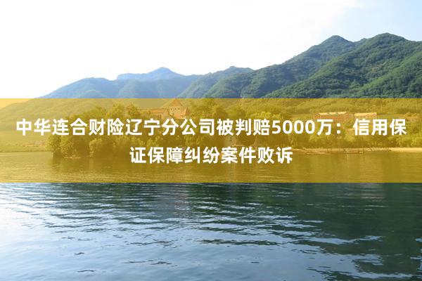 中华连合财险辽宁分公司被判赔5000万：信用保证保障纠纷案件败诉