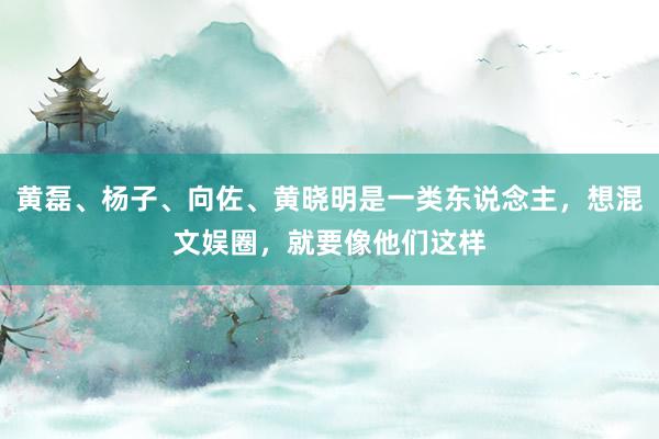 黄磊、杨子、向佐、黄晓明是一类东说念主，想混文娱圈，就要像他们这样