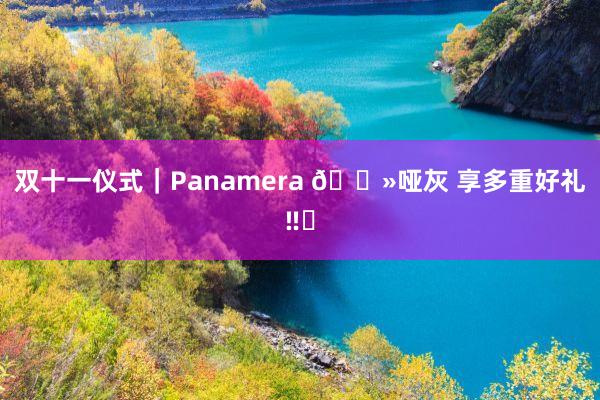 双十一仪式｜Panamera 🗻哑灰 享多重好礼‼️