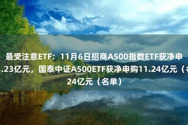 最受注意ETF：11月6日招商A500指数ETF获净申购13.23亿元，国泰中证A500ETF获净申购11.24亿元（名单）