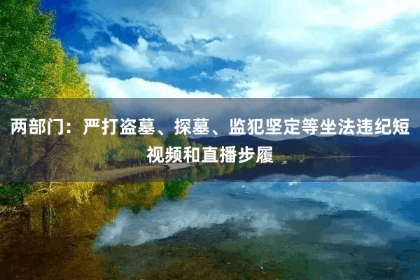 两部门：严打盗墓、探墓、监犯坚定等坐法违纪短视频和直播步履