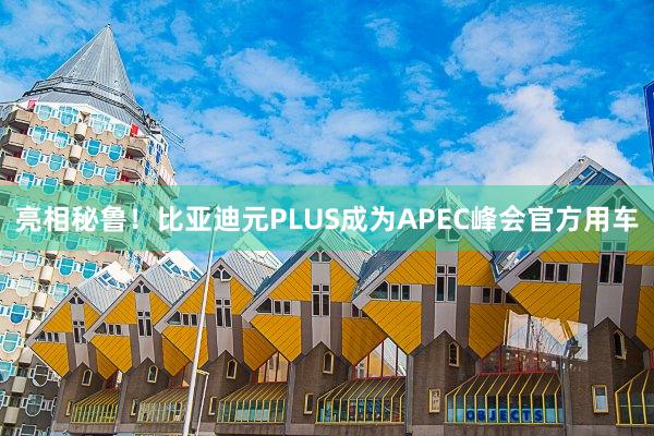 亮相秘鲁！比亚迪元PLUS成为APEC峰会官方用车